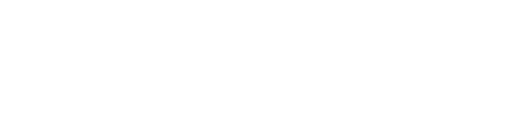 RiskBo Logo